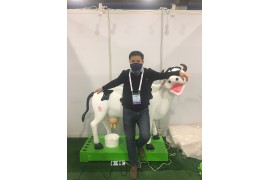 Beijing expo 2017